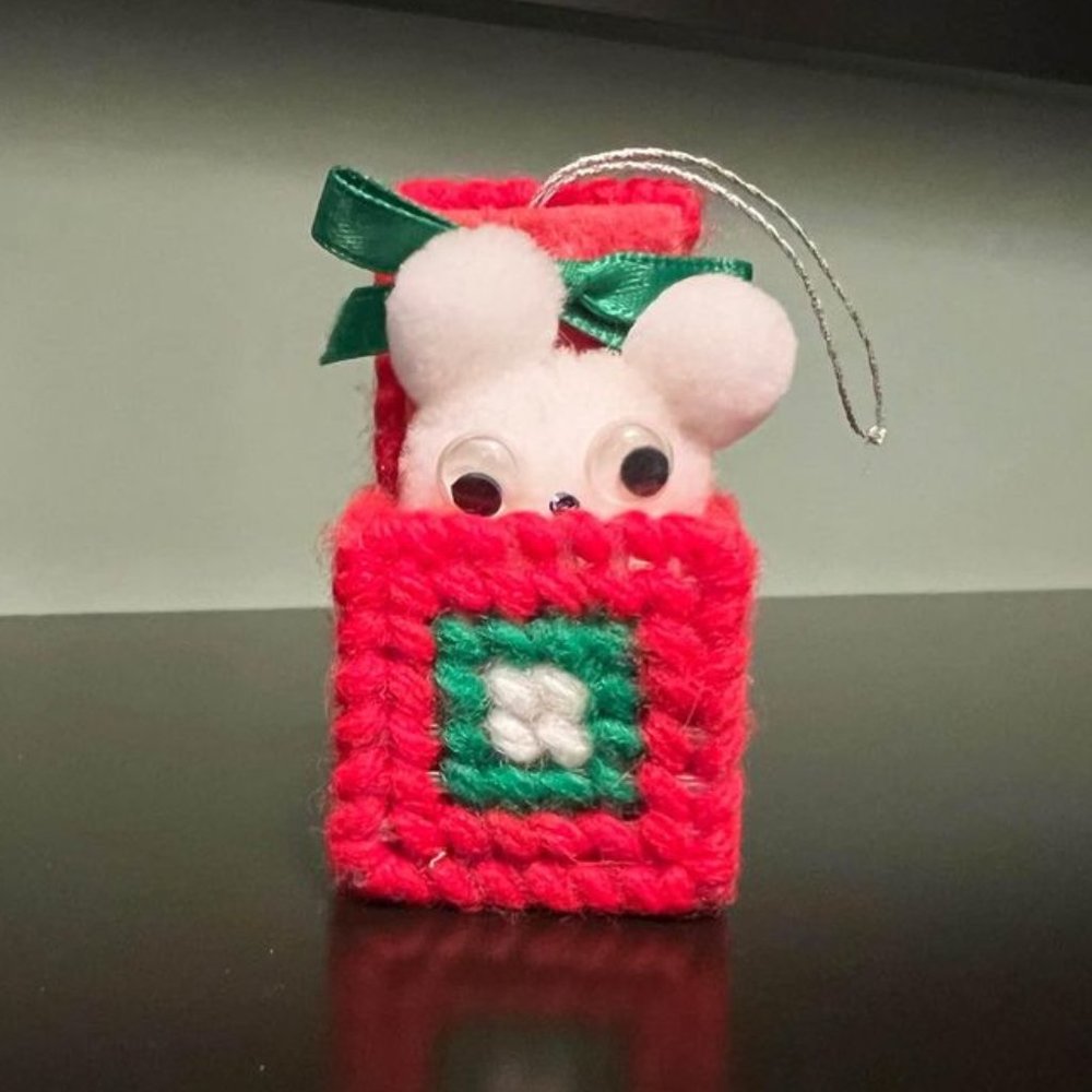 Adorable Small Lightweight Bunny in a Present Box